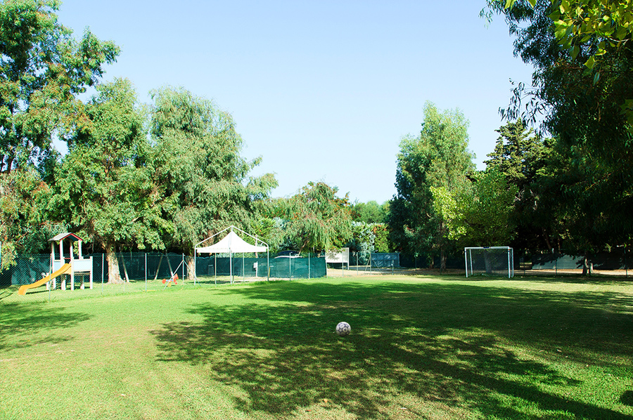 Animazione & Sport